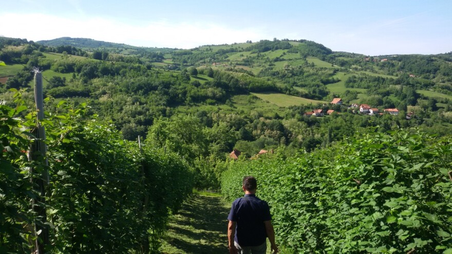 Preventivno tretirajte voće, u cilju suzbijanja mogućih infekcija