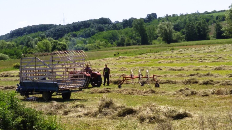 Izbori 2020: Za poljoprivredu - svi junaci nikom ponikoše?