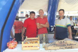 Krajnje vrijeme za spas braniteljskih agro zadruga