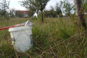 Kako napraviti smesu za krečenje voćnjaka?
