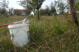 Kako napraviti smjesu za krečenje voćnjaka?