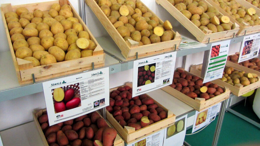 Krompir po 9 evrocenti ruši matematiku