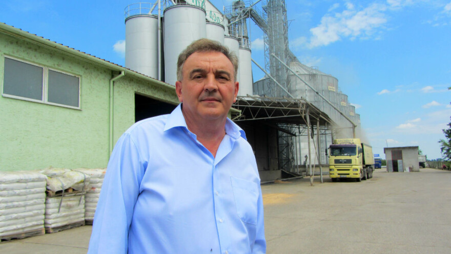 Razvrstavanje pšenice dobija na zamahu