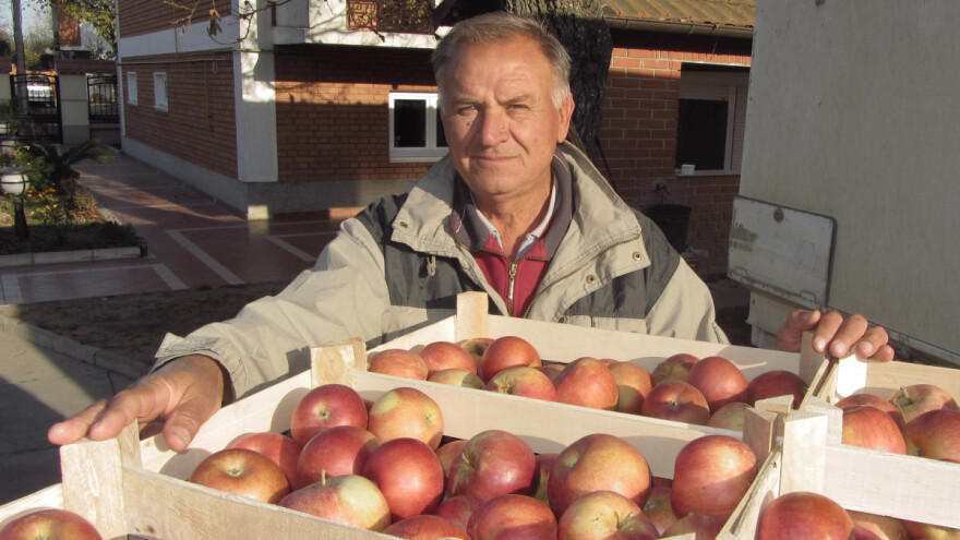 Rast cene jabuke od Nove godine