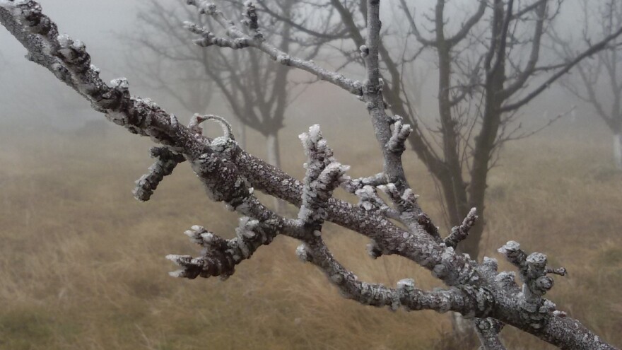 Proizvođači se bune: Osiguranje za mraz više ne važi od 1. marta?
