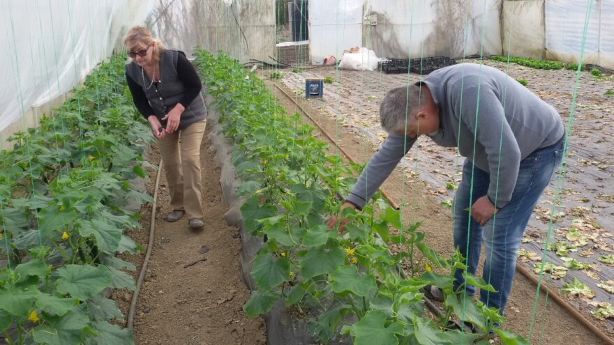 Novčana sredstva pomoći su ograničena - ostali neka konkurišu za kredit?