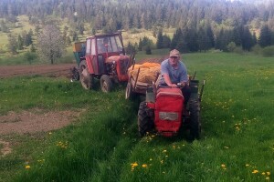 Lički krumpir, kupus i luk s 900 metara nadmorske visine - Vrankić j.d.o.o. uz kvalitetu, ima i riješeno tržište