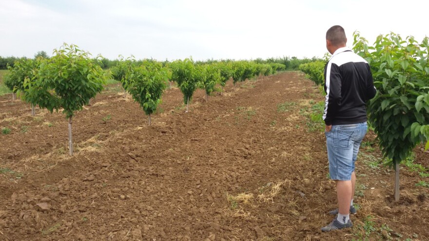 Šta je sa isplatom subvencija, a šta se menja u planu IPARD poziva?