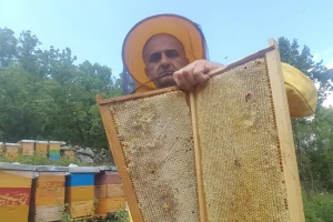 Masovno gašenje R-brojeva: Meda nemaju dvije godine, a analizu moraju obaviti ili - kazna