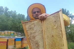 Masovno gašenje R-brojeva: Meda nemaju dvije godine, a analizu moraju obaviti ili - kazna