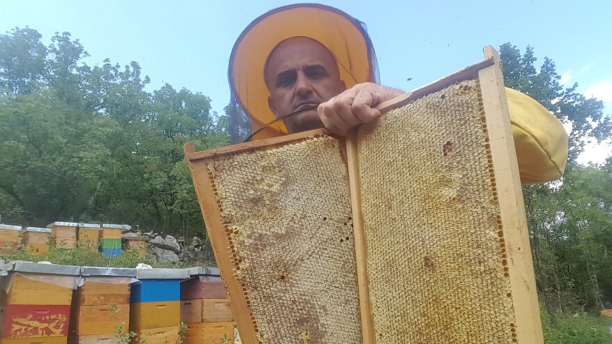 Masovno gašenje R-brojeva: Meda nemaju dvije godine, a analizu moraju obaviti ili - kazna