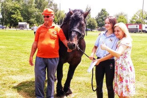 Stambol, Lara, Rajko i Mila - šampioni 24. državne konjogojske izložbe