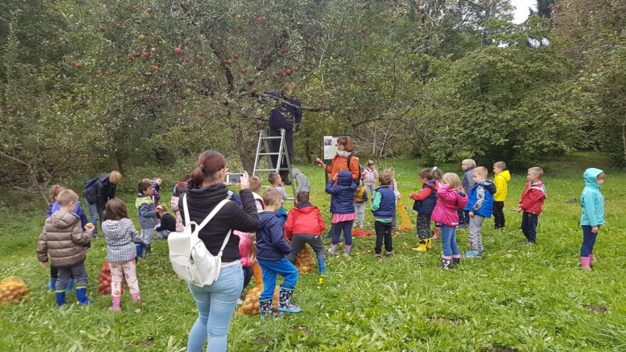 Učenička zadruga Bobovac: Sade, orezuju i prerađuju kraljicu voća - jabuku