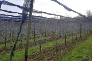 Okupljanje voćara RS - glavne teme promjena klime, tržište i radna snaga