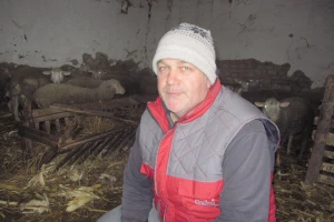 Dragan Petrović: Obrovac - naša prestonica il de frans rase ovaca