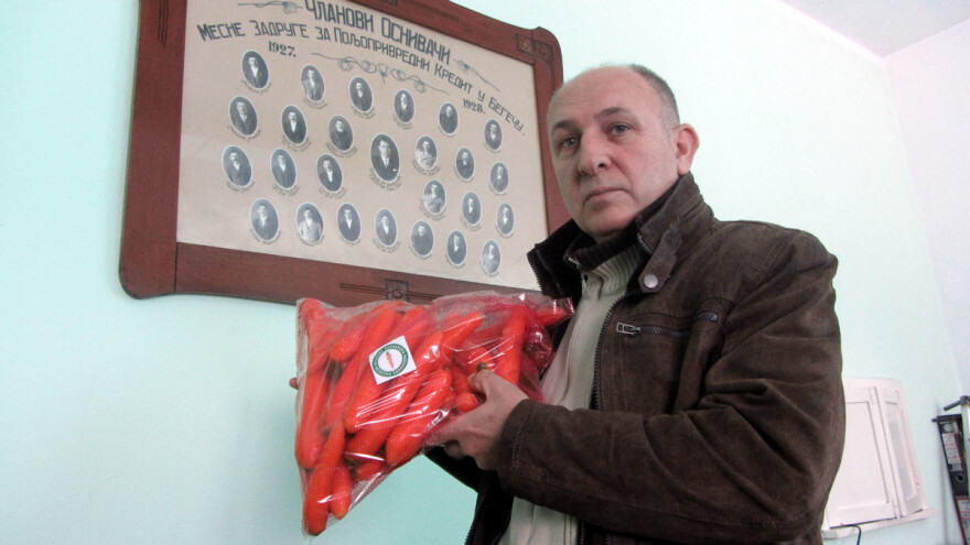 Begečka šargarepa i u 2019. sa sertifikatom