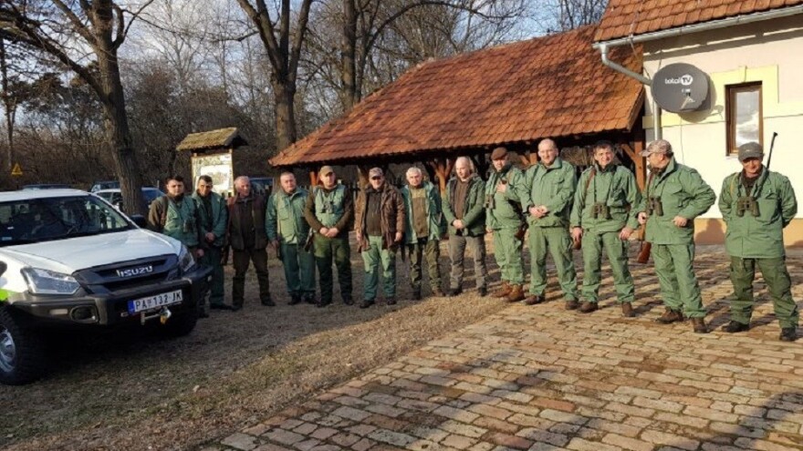 Zbog afričke kuge u Srbiji u toku odstrel divljih svinja