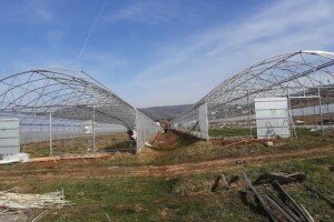 Pet stvari koje trebate znati prije kupovine plastenika