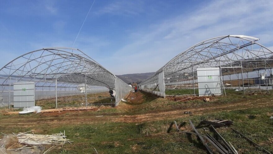 Pet stvari koje trebate znati prije kupovine plastenika