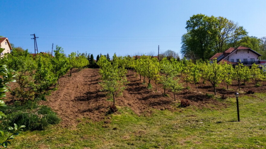 Kako sertifikovati organsku proizvodnju