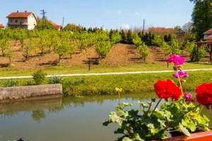 Lozničanka se vratila iz Portugalije kako bi se bavila organskom proizvodnjom