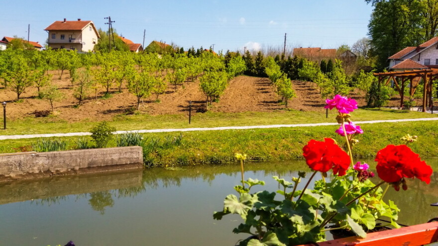 Lozničanka se vratila iz Portugalije kako bi se bavila organskom proizvodnjom