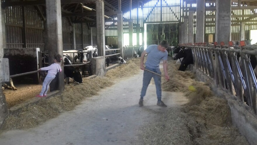 Najveći koprivničko - križevački proizvođač mlijeka na mukama zbog državne zemlje