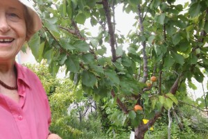 Sto i deset zlat(i)nih “kvadrata” na otoku Krku – OPG Zlata Nanić