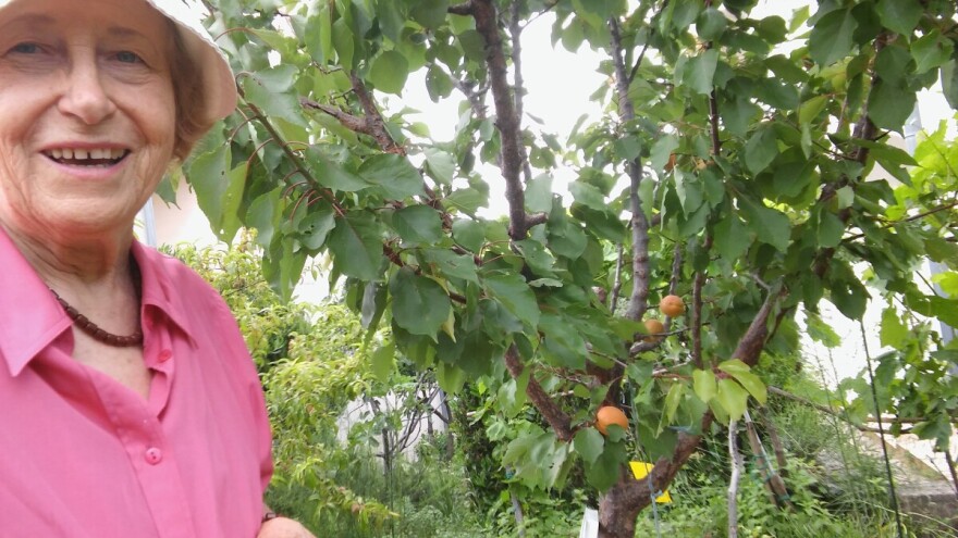 Sto i deset zlat(i)nih “kvadrata” na otoku Krku – OPG Zlata Nanić