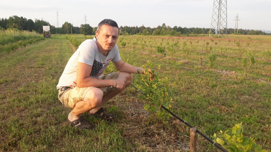 Borovnica i aronija možda i nisu karakteristične za Liku, ali zašto ne probati?