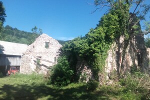 Mogu li "Pametna sela" spasiti pusta sela Hrvatske?