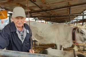 Mario Gašparini: Sve su krave bile lipe, ali Srneja je osvojila zlatno zvono