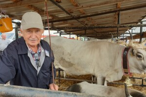 Mario Gašparini: Sve su krave bile lipe, ali Srneja je osvojila zlatno zvono