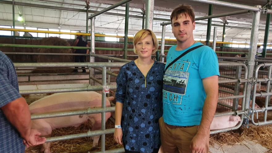 Matija Jurišanec odnio prva mjesta za svinje landras i durok!