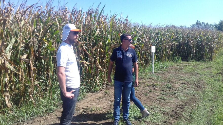 Dr.sc. Bede raskinuo s novosadskim institutom i doveo American genetics u Hrvatsku