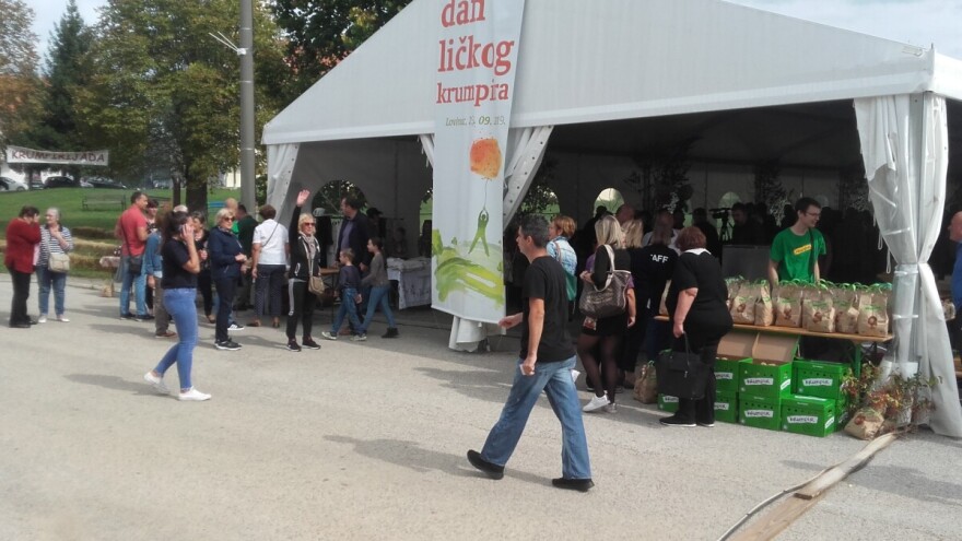 Najteži krumpir 1,5 kg: OPG-u Miće Mašića i nagrada za najukusnije ličke pole