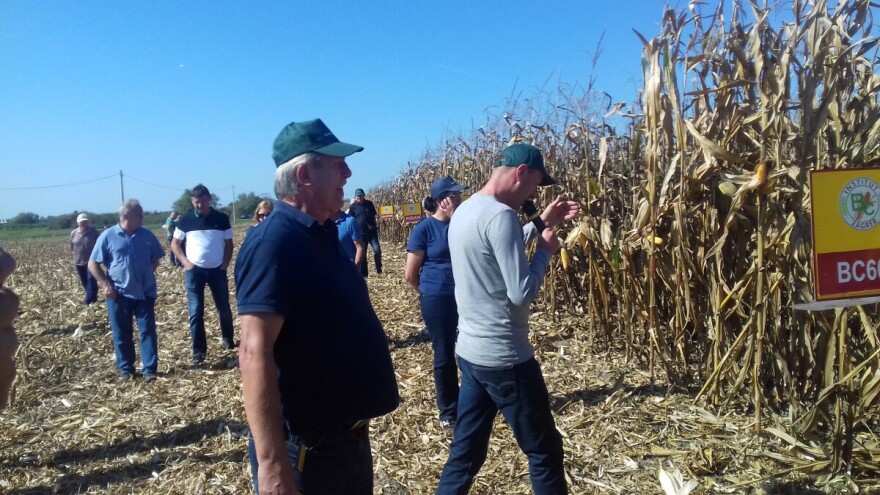 Novi BC hibridi opravdali očekivanja, a sve više silažnih odgovara proizvodnji bioplina