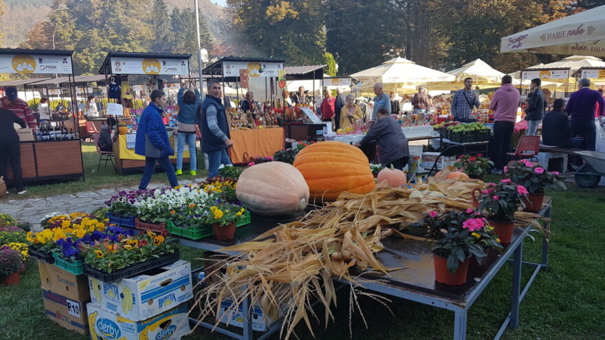 Plodovi Rađevine - promocija zdravih proizvoda, sela i poljoprivrede
