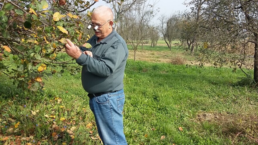 Prof. Rezo: U poljoprivredi se stalno uči, a znati treba i kako se drži motika