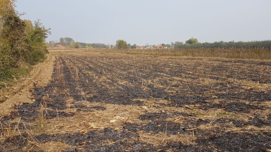 Nasa satelit: Najviše požara u Evropi u oktobru imala Srbija