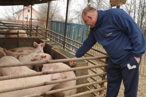 OPG Šomođi proizvodi 800 prasaca godišnje: Kupci se vraćaju, a tajna uspjeha je u hranidbi