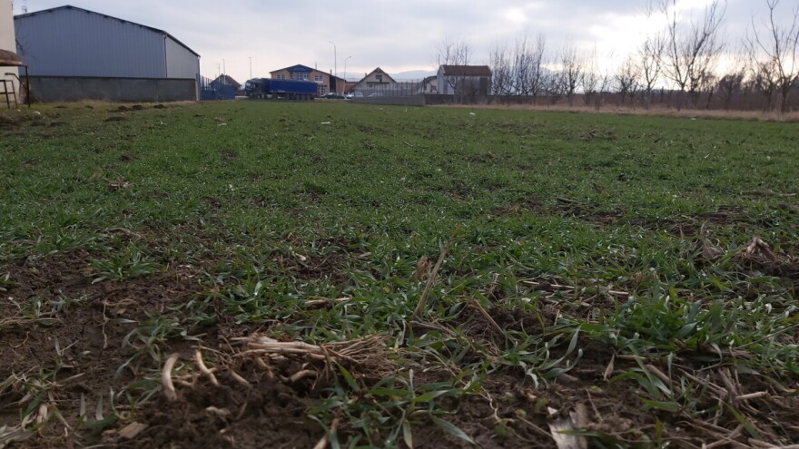 Azot neophodan za prihranu: Oprezno sa količinama