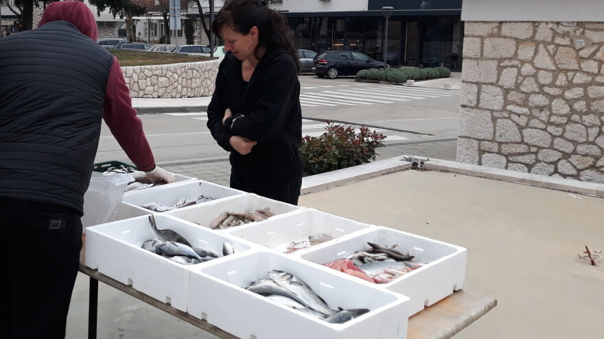 Grudačka tržnica bogata svježom morskom ribom - od šampjera do girica