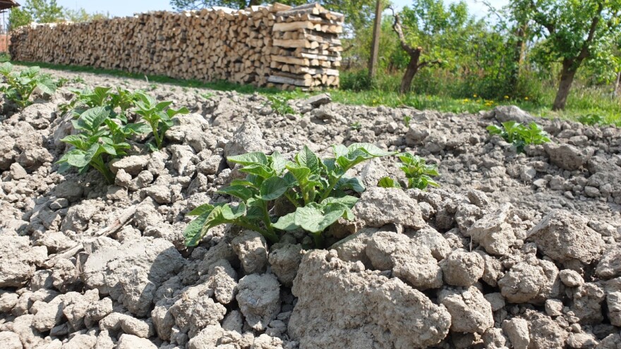 EK objavila paket mjera za daljnju podršku poljoprivredno-prehrambenom sektoru