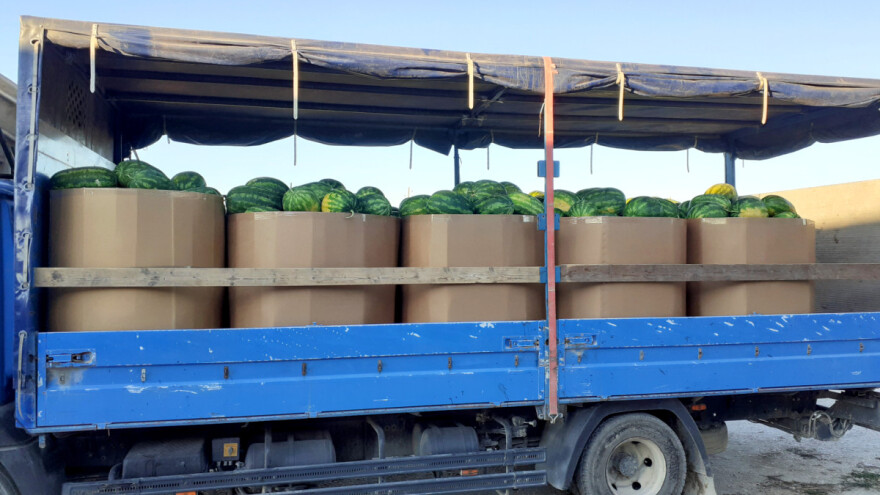 "Akcijanje" s lubenicama u trgovinama uništava domaće uzgajivače: Udruga traži dizanje cijena