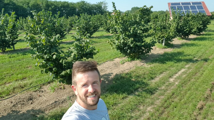 Ne očekuje da se obogati od prodaje lešnika, ali želi siguran prihod