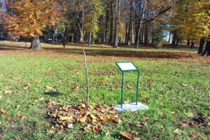 Požega krenula u sadnju medonosnih stabala, stigao i klon Gupčeve lipe