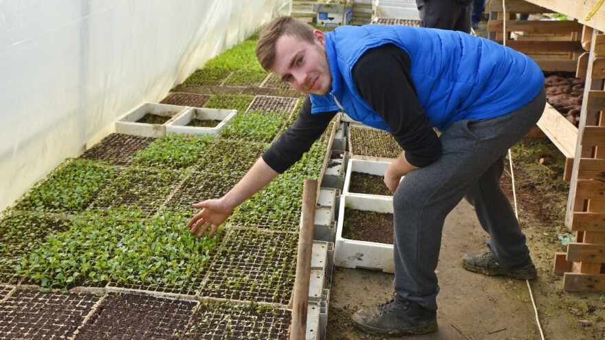 Bjelovarski doručak: S lokalnih OPG-ova u vrtiće i škole