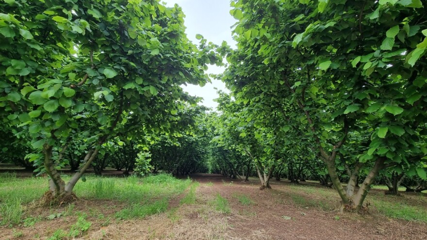 Četvrta radionica CAP for Us: Austrija kao primjer dobre ekološke prakse