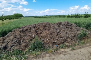 Nova IAKS operacija: 10.1.17 Poticanje uporabe stajskog gnoja na oraničnim površinama